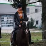 Sándor Timár - @timarsandor3 - Instagram