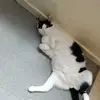 sandraabel4 - @sandraabel4 - TikTok