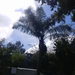Sandra Abrahamson - @africa.landscapes - Instagram