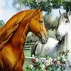 Sandra Patricia Abramson - @sandra.patricia.a30 - TikTok