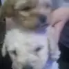 Sandra Aceves - @sandra.aceves7 - TikTok