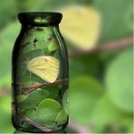 Sandra Aderhold - @just_you_ks - Instagram