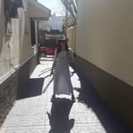 Sandra Adriana Solange Varela - @sandraadrianasolange - Instagram