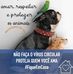 Sandra Affonso - Facebook