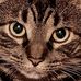 Sandra Agee - Facebook
