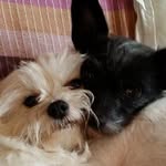 Sandra Agostini - @sandra.agostini.5 - Instagram