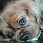 Sandra Ahern - @sandraahern1 - Instagram