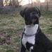 Sandra Anne Aiello - Facebook