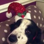 Sandra Aitken - @sandra.aitken1958 - Instagram