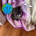Sandy Albertson - Facebook