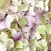 Sandra Alcorn315 - @petalandpins - TikTok
