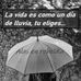 Sandra Alegre - Facebook