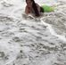 Sandra Alegria - Facebook