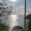 Sandra alejo - @sandraalejo856 - TikTok