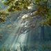 Sandra Allgood - Facebook