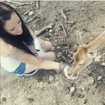 Sandra Alli - @wecravethislove - Instagram
