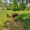 Sandra Althaus - @sandra.althaus - TikTok