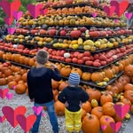 Sandra Althaus - @sanalthaus - Instagram