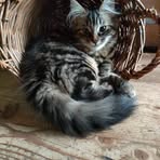 Sandra Altieri - Facebook