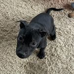 Sandra Alway - @keyamo91 - Instagram