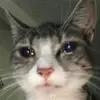 Sandra Amparan - @sandraamparan5794 - TikTok