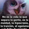 Sandra Angulo - @angulo.sandra - TikTok
