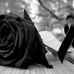 Sandra Anzures - Facebook