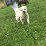 Sandra Apel - @blonde.zicke.5 - Instagram
