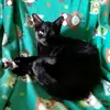 sandraapodaca7 - @sandraapodaca7 - TikTok
