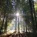 Sandra Appel - Facebook