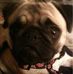 Sandra Appling - Facebook