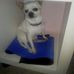 Sandra Ardito - Facebook