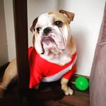 ARGO BEBÉ - @sandra_argo13 - Instagram