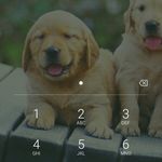 Sandra Ashmore - @sandra.ashmore.3386 - Instagram