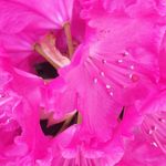 Sandra Aubry - @sandra.aubry.376 - Instagram