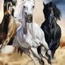 Sandra Aubry - Facebook