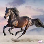 Sandra Aubry - @aubry_sandra_ - Instagram