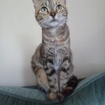 Sandra Avey - @aveysandra - Instagram