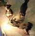 Sandra Azar - Facebook
