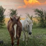 Sandra Azar - @sandrazarfotos - Instagram
