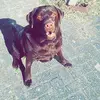sandrabaasje - @sandrabaasje - TikTok
