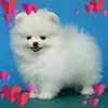 sandra123490babb - @sandra123490babb - TikTok