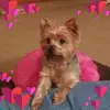 sandrababb883 - @sandrababb883 - TikTok