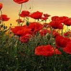 Sandra Babin - Facebook
