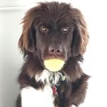 Sandra Fojtik Bacci - @sandycandy101010 - Instagram