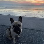 Sandra Backer - @sandrabacker3 - Instagram