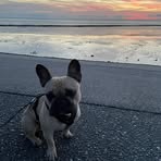 Sandra Backer - Facebook