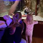 Sandra Bäcker - @sandra_baecker - Instagram