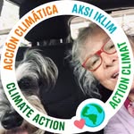 Sandra Baggett - @baggett.sandra - Instagram