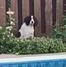 Sandra Bain - Facebook